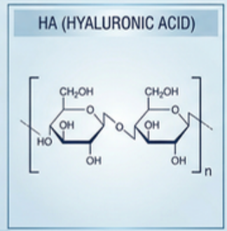 ha_chemical_structure.png