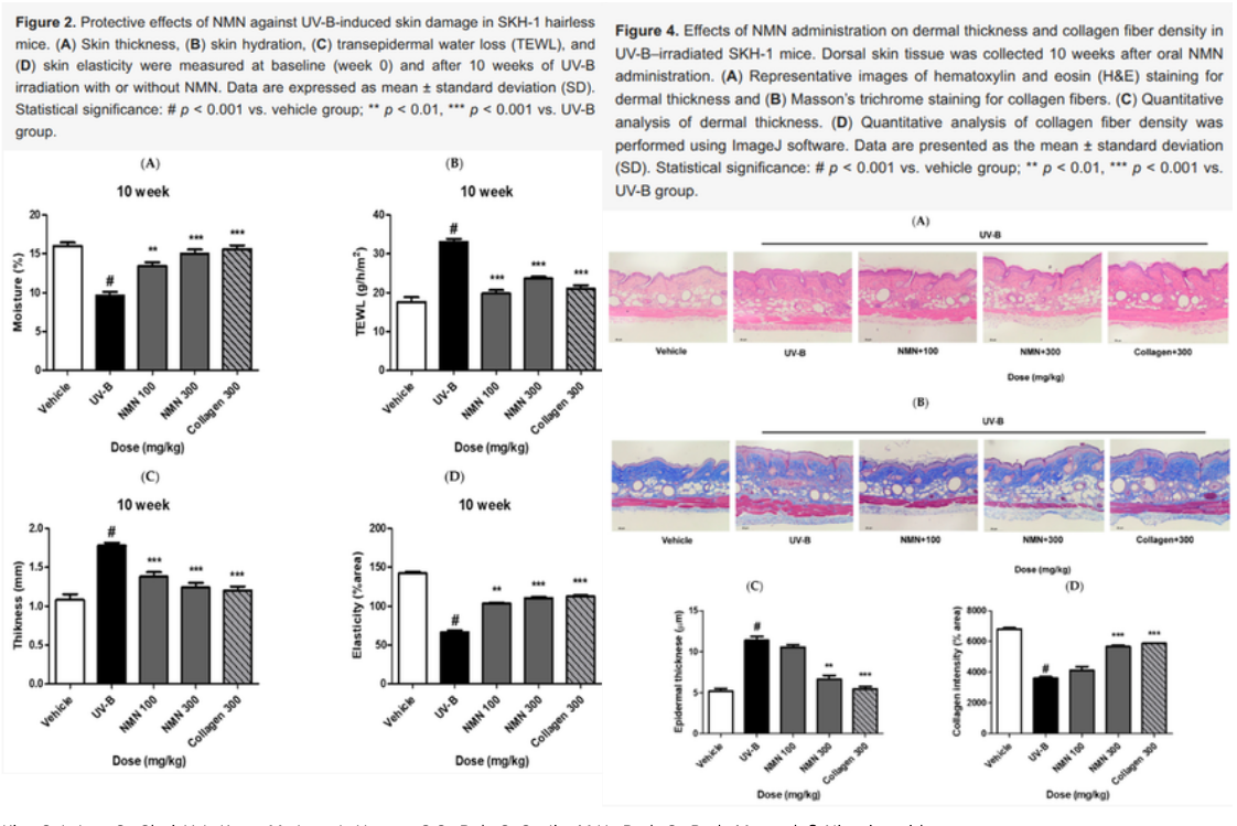 nmn_photoaging_barrier_graphs.png