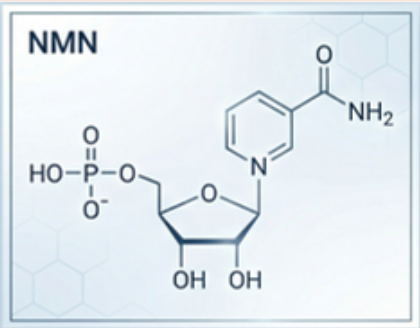nmn_structure.png