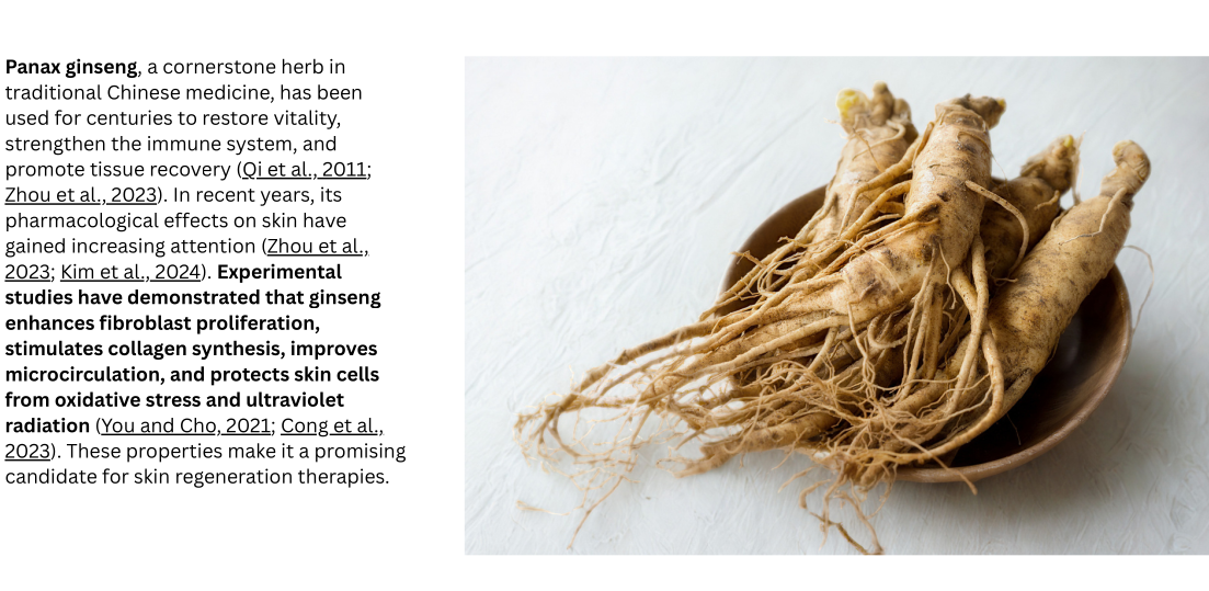 panax_ginseng_roots.png