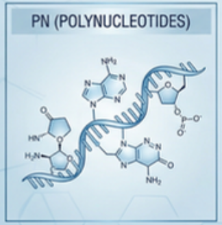 pn_chemical_structure.png