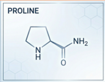 proline_structure.png