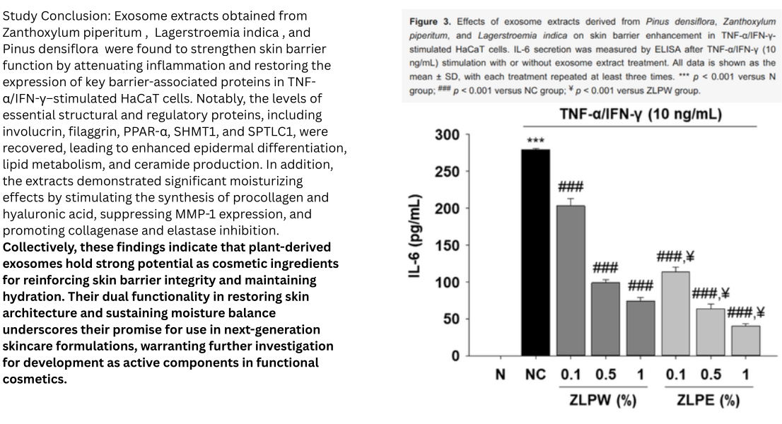 skin_barrier_il6_exosome_graph.png