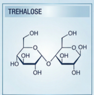 trehalose_chemical_structure.png